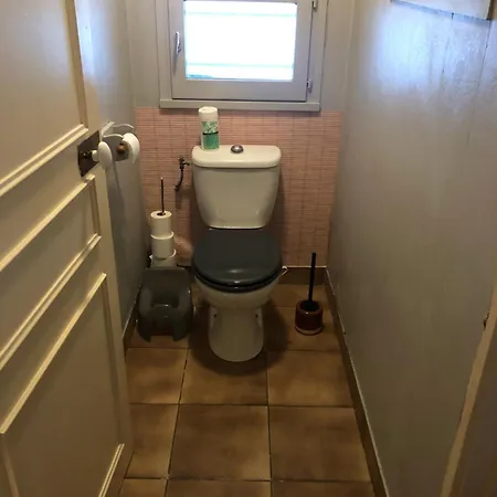 别墅 Prune 200m 5 Avec Piscine Et Garage 艾克斯莱班