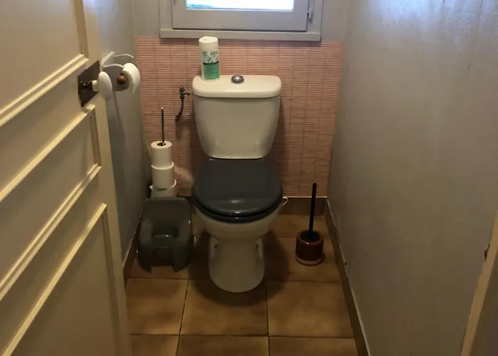 ヴィラ Prune 200m 5 Avec Piscine Et Garage エクスレバン